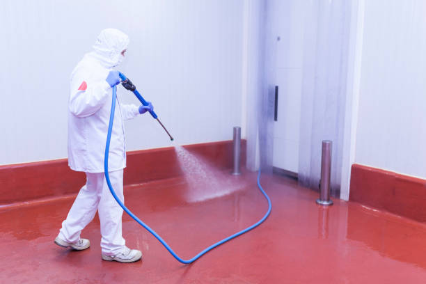 Best Rust Removal  in Sunbury, PA
